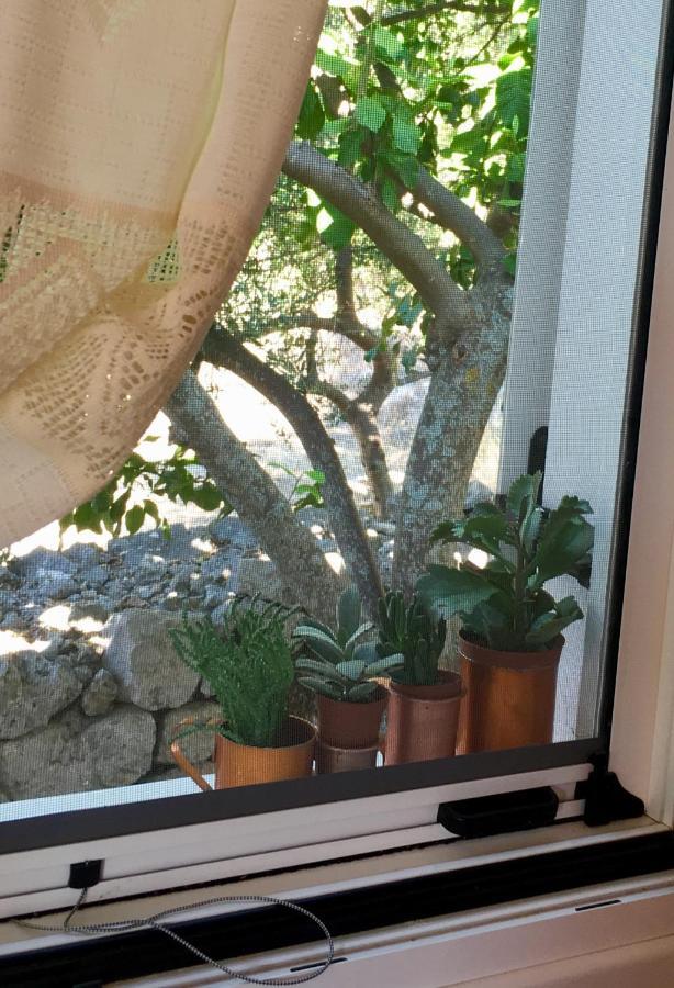 Affittacamere La Casa di Odyssey Dhavgáta Esterno foto